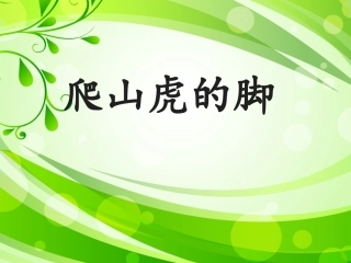 爬山虎的脚第二课时