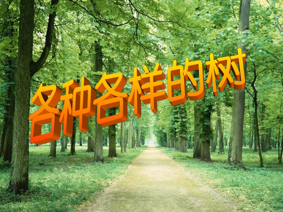 各种各样的树_第1页