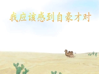 我应该感到自豪才对PPT课件