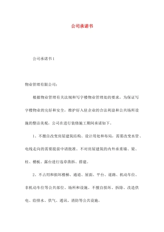 公司承诺书 (2)