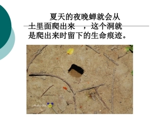 三年级语文《金蝉脱壳》第二课时课件