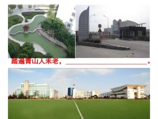 “金扫帚奖”作文指导