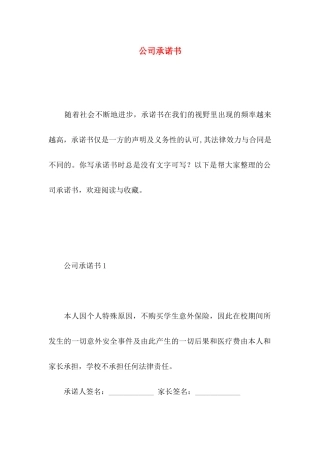 公司承诺书 (3)