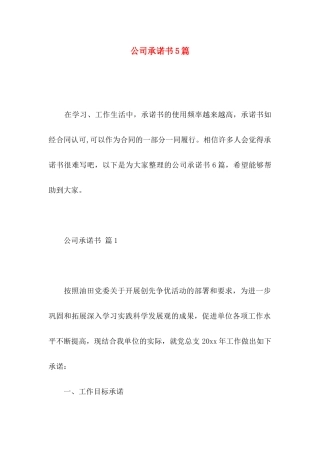 公司承诺书5篇