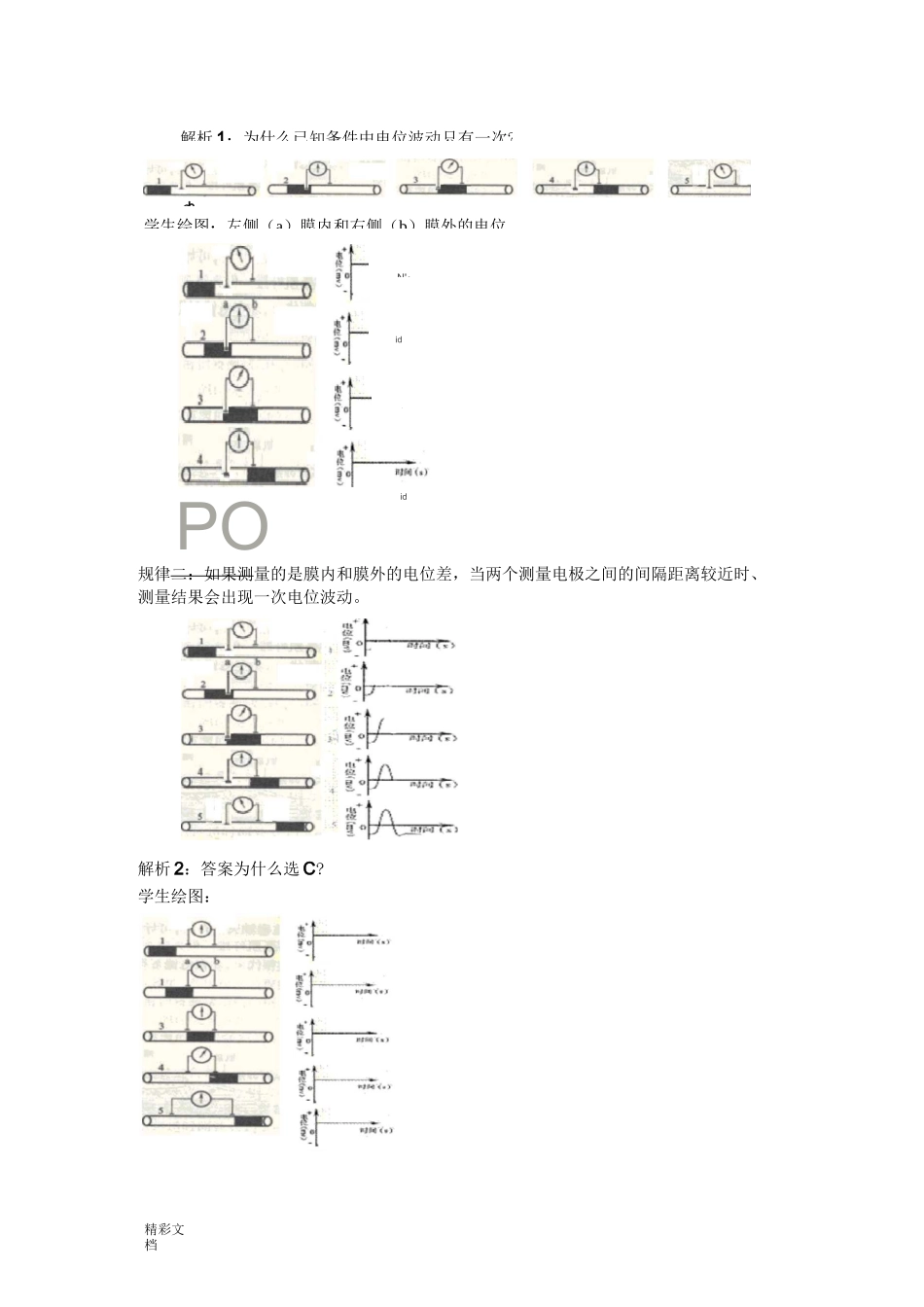膜电位变化及其测量_第3页