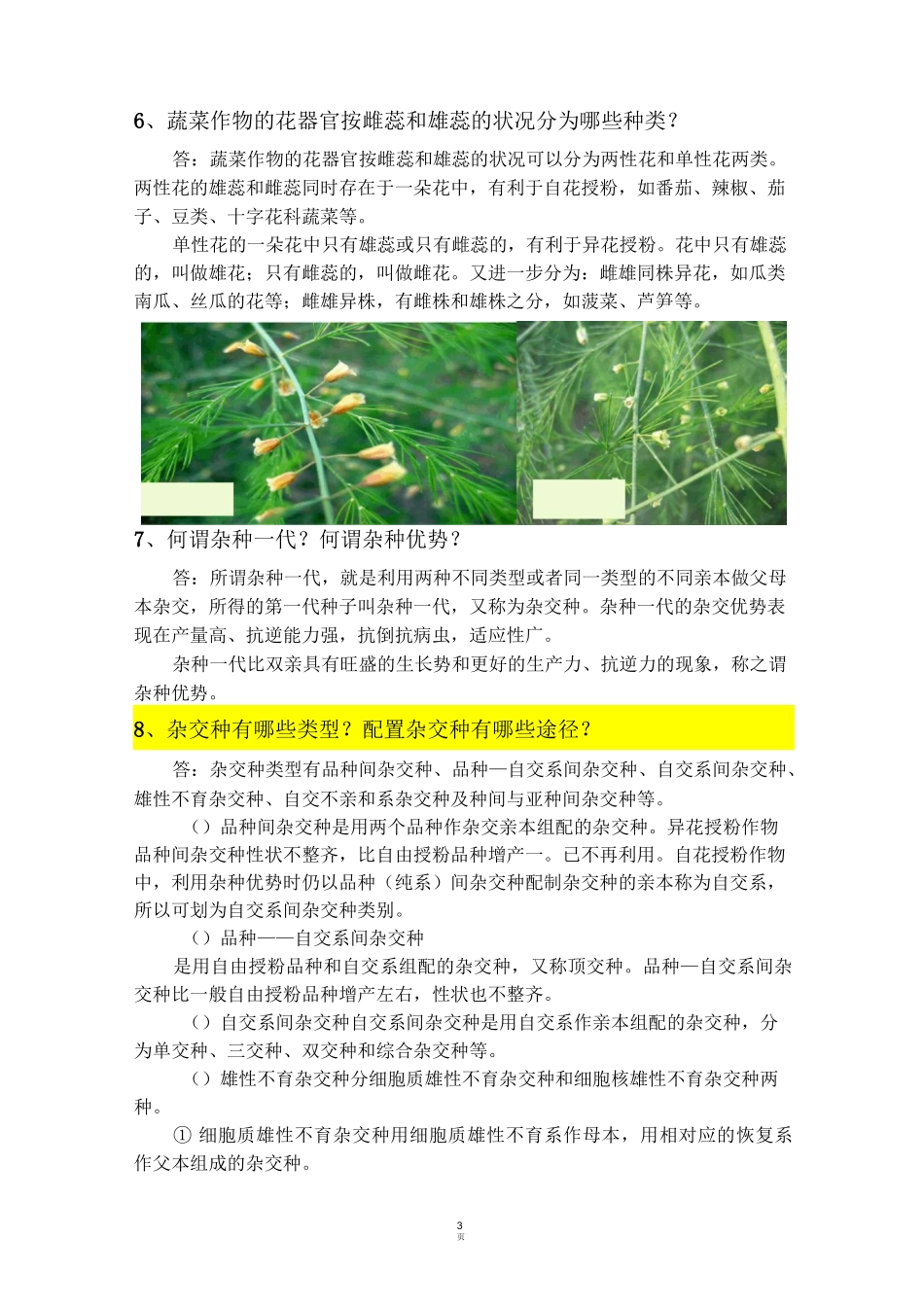 (二)蔬菜育种基础知识资料_第3页