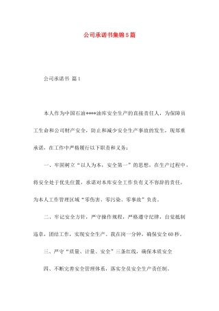 公司承诺书集锦5篇