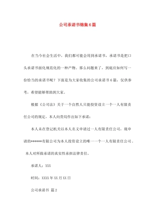 公司承诺书锦集6篇