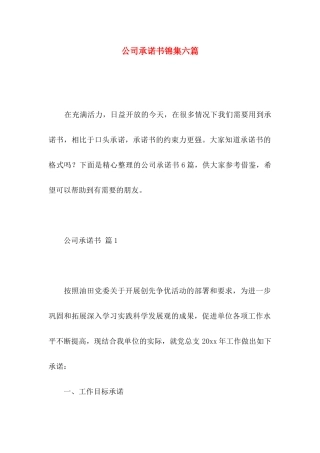 公司承诺书锦集六篇