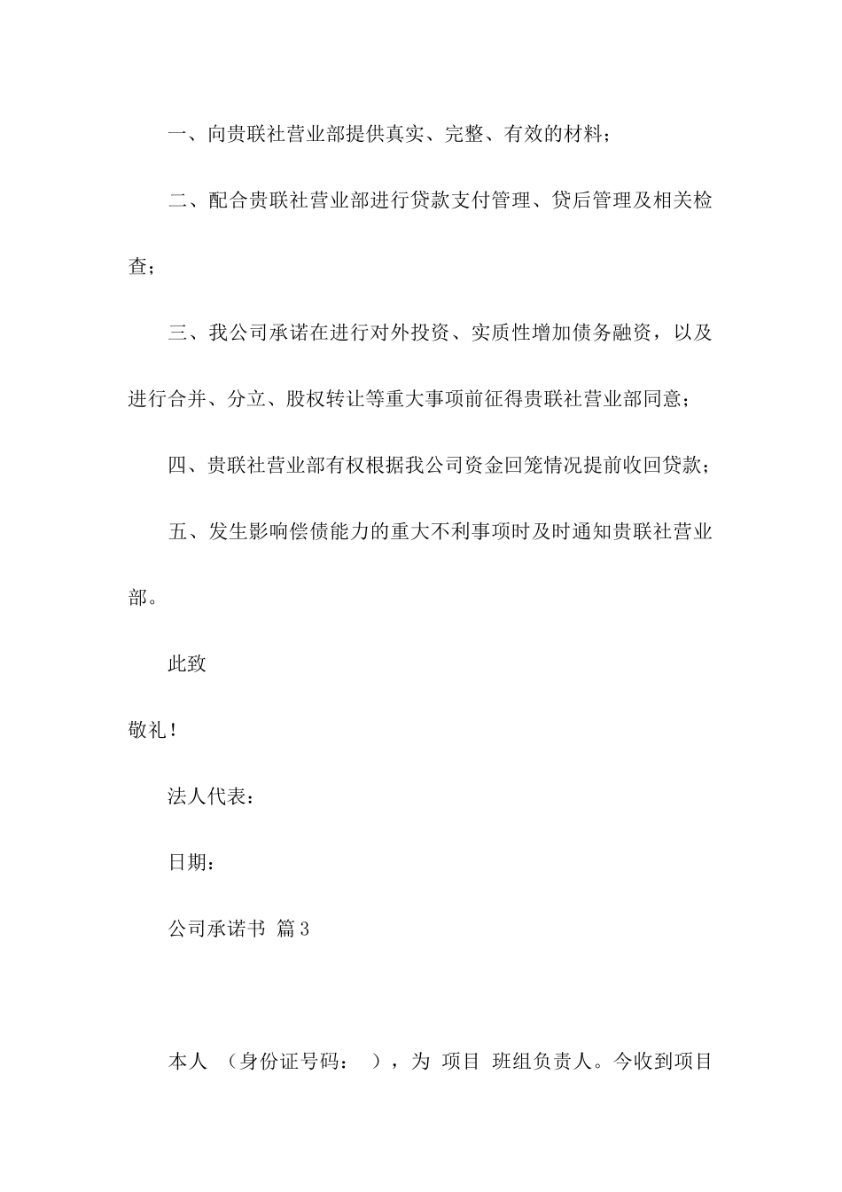 公司承诺书模板8篇 (2)_第3页