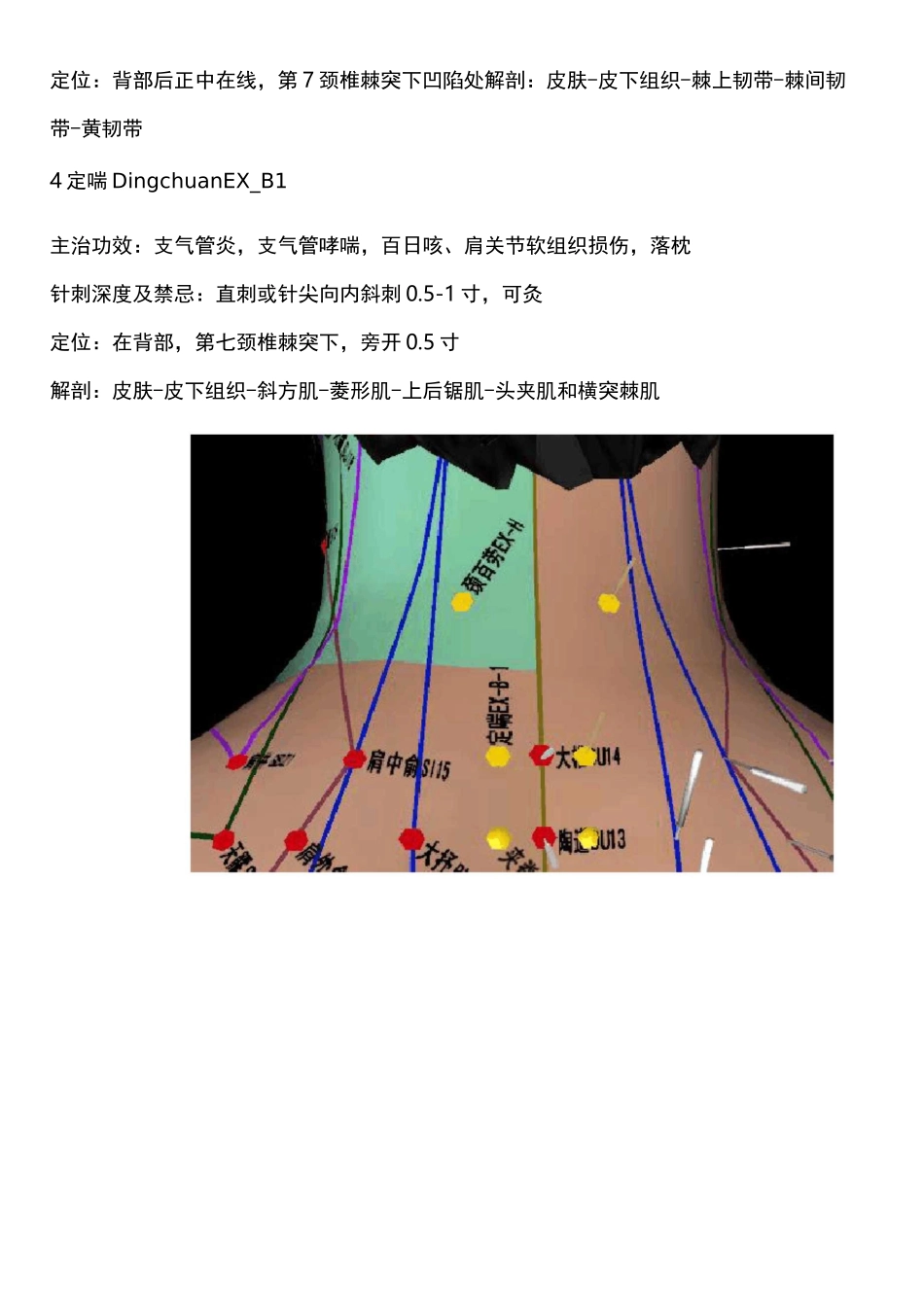 穴位和穴位贴_第2页