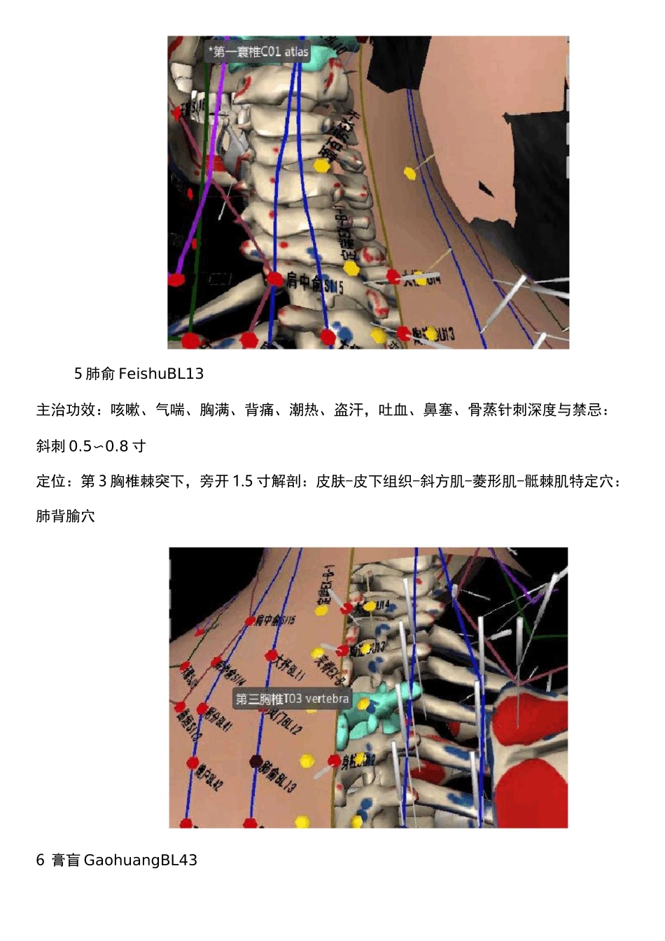 穴位和穴位贴_第3页