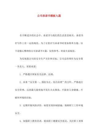 公司承诺书模板九篇（一）
