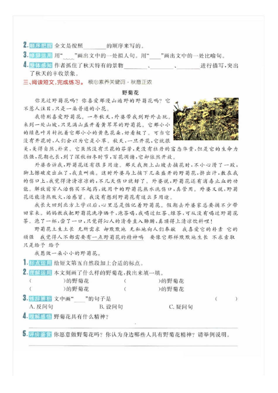 【人教部编版】三年级上册语文试题-核心素养阅读训练_第2页