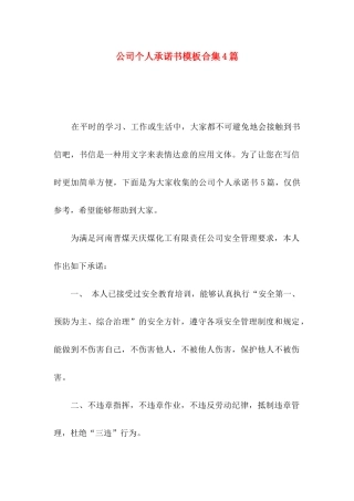 公司个人承诺书模板合集4篇