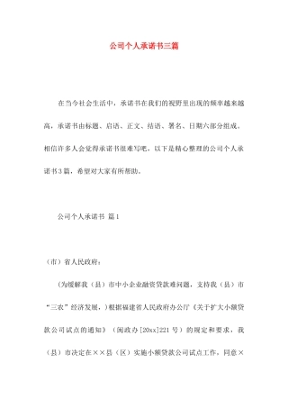 公司个人承诺书三篇 (2)