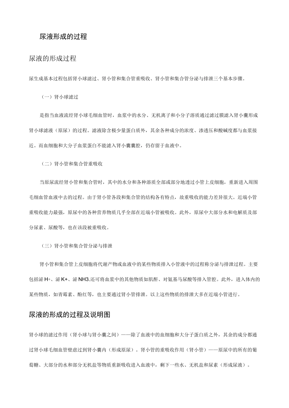 尿液形成的过程_第1页