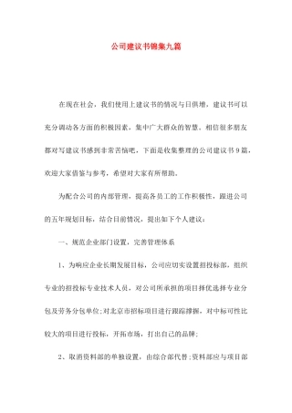 公司建议书锦集九篇