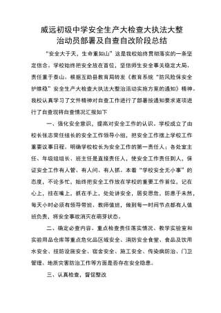 安全生产自查自改总结