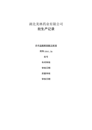 盐酸赖氨酸注射液批生产记录