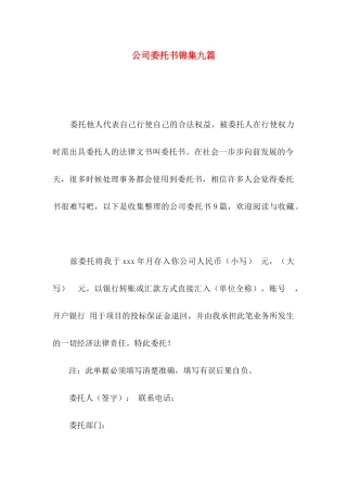 公司委托书锦集九篇（一）