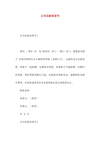 公司还款承诺书 (2)