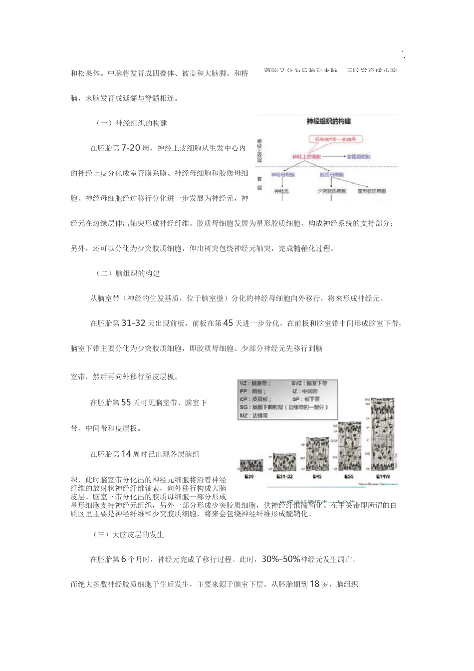 儿童脑正常发育的磁共振成像_第3页