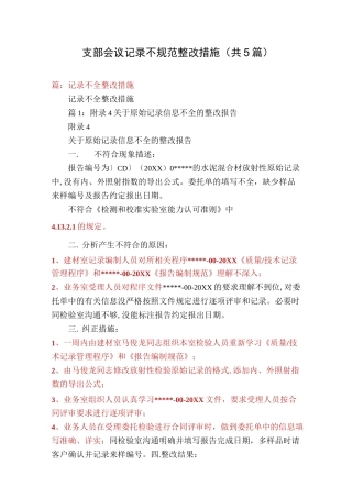 支部会议记录不规范整改措施(共5篇)