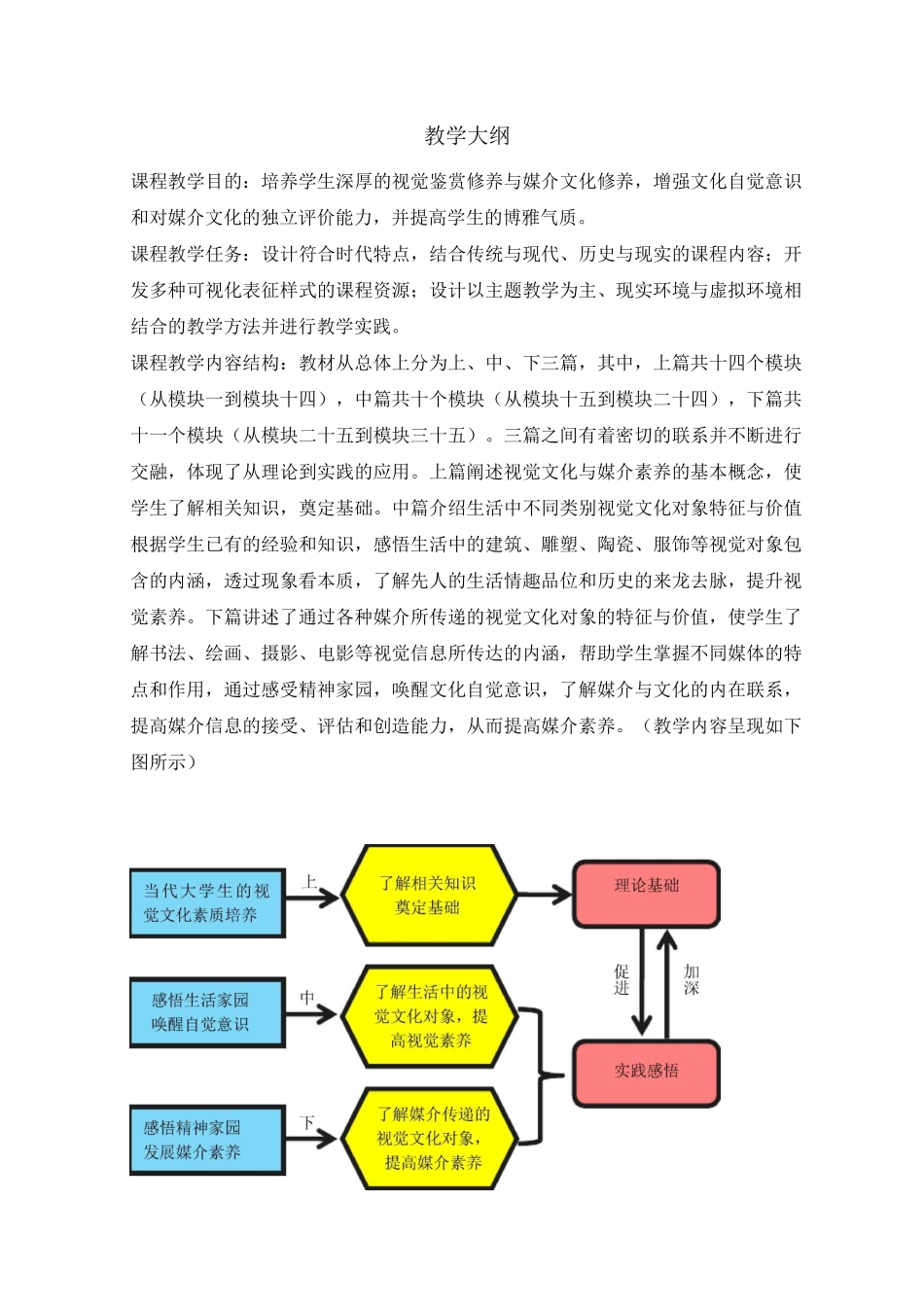 视觉文化与媒介素养  教学大纲_第1页