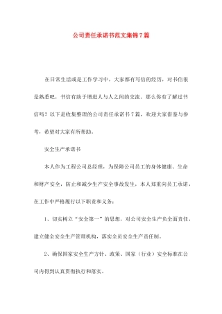 公司责任承诺书范文集锦7篇