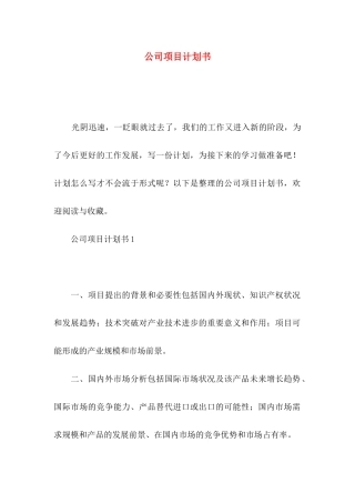 公司项目计划书