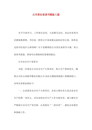 公司责任承诺书模板八篇