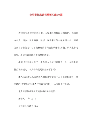 公司责任承诺书模板汇编10篇