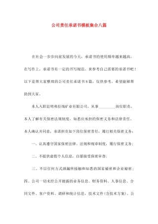 公司责任承诺书模板集合八篇