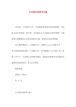 公司责任承诺书五篇