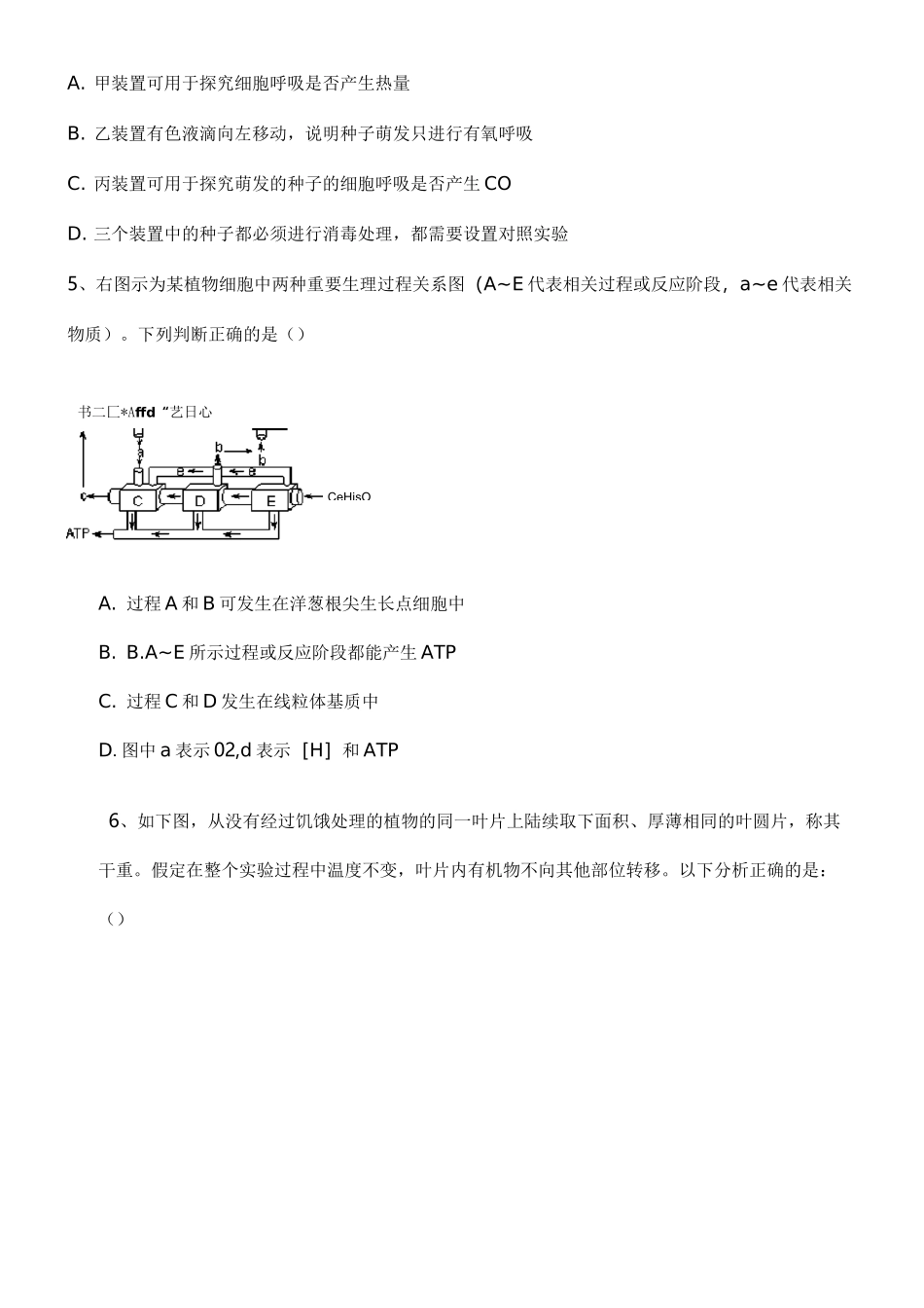 生物光合作用与呼吸_第3页