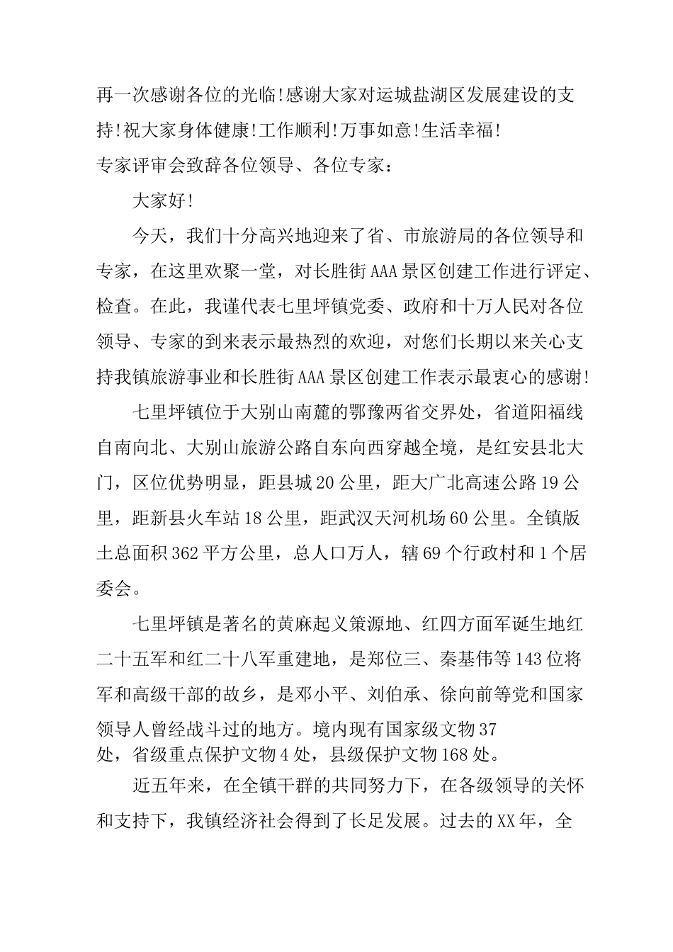 专家评审会致辞_第3页