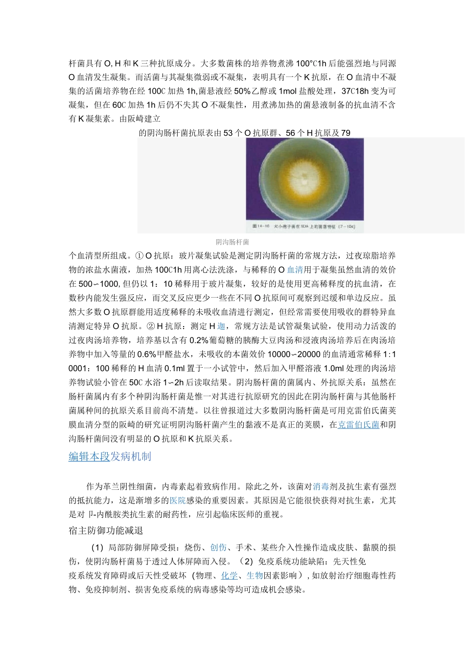 阴沟肠杆菌感染_第3页