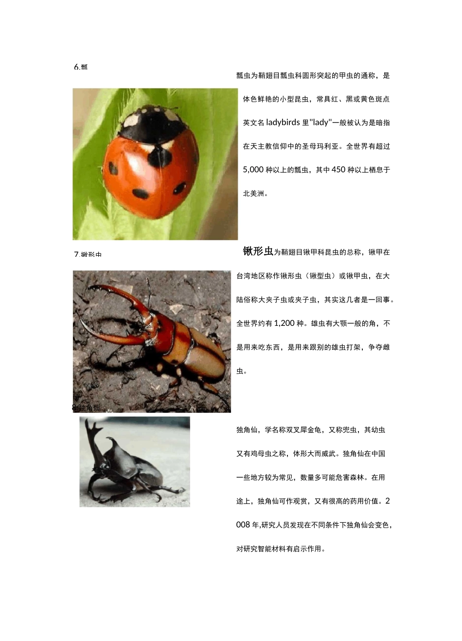 认识昆虫名字+图片_第3页