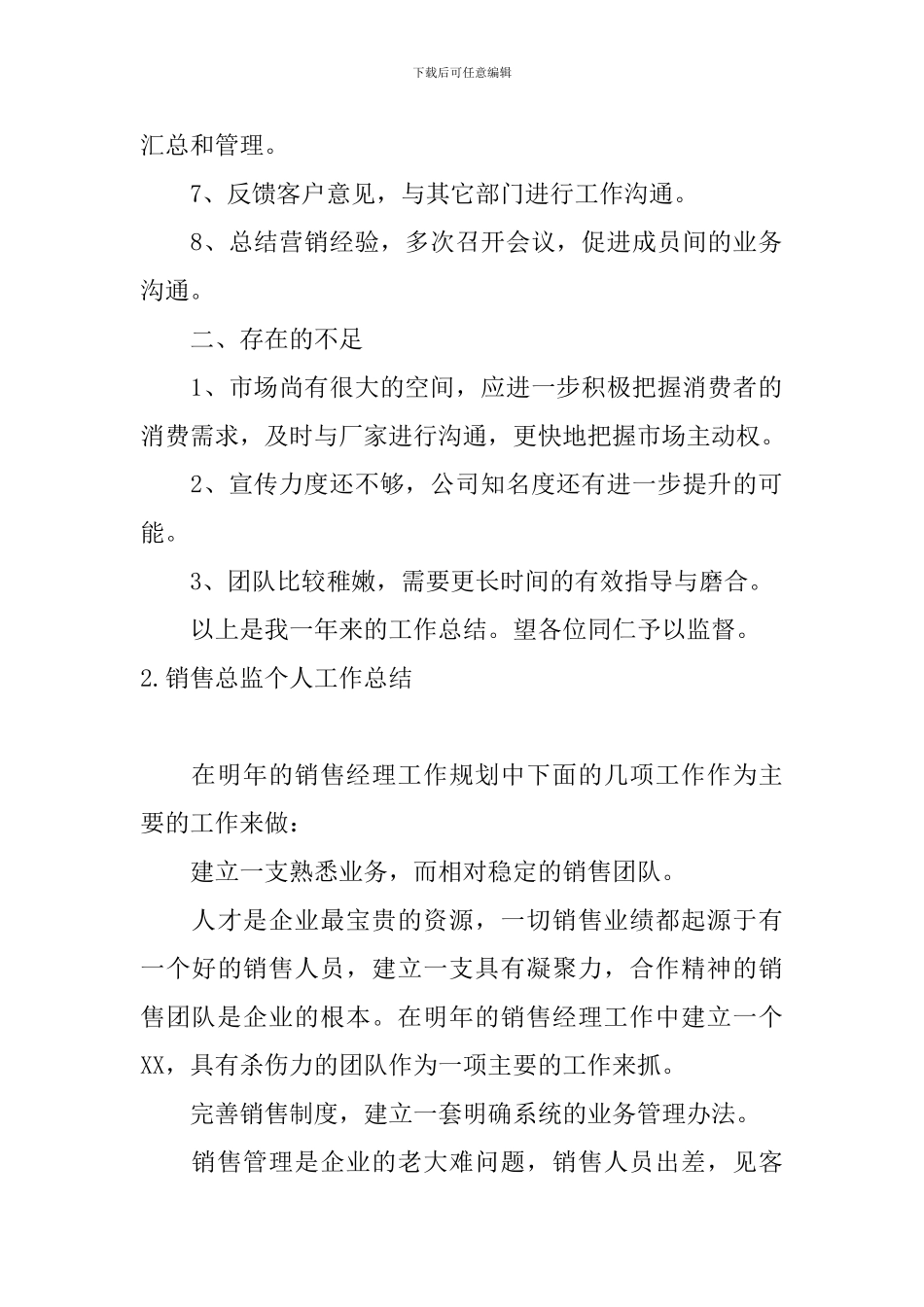 销售总监个人工作总结10篇_第2页
