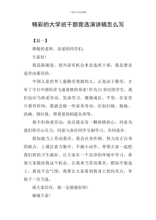 精彩的大学班干部竞选演讲稿怎么写