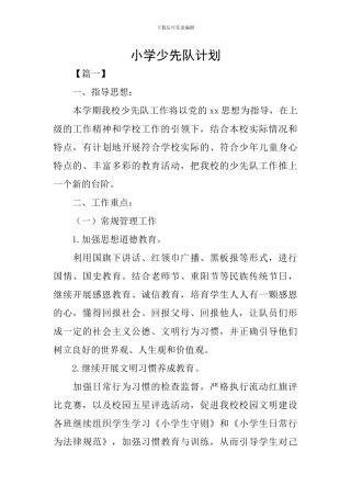 小学少先队计划