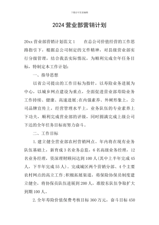 2024营业部营销计划