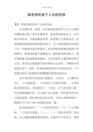 新教师年度个人总结范例