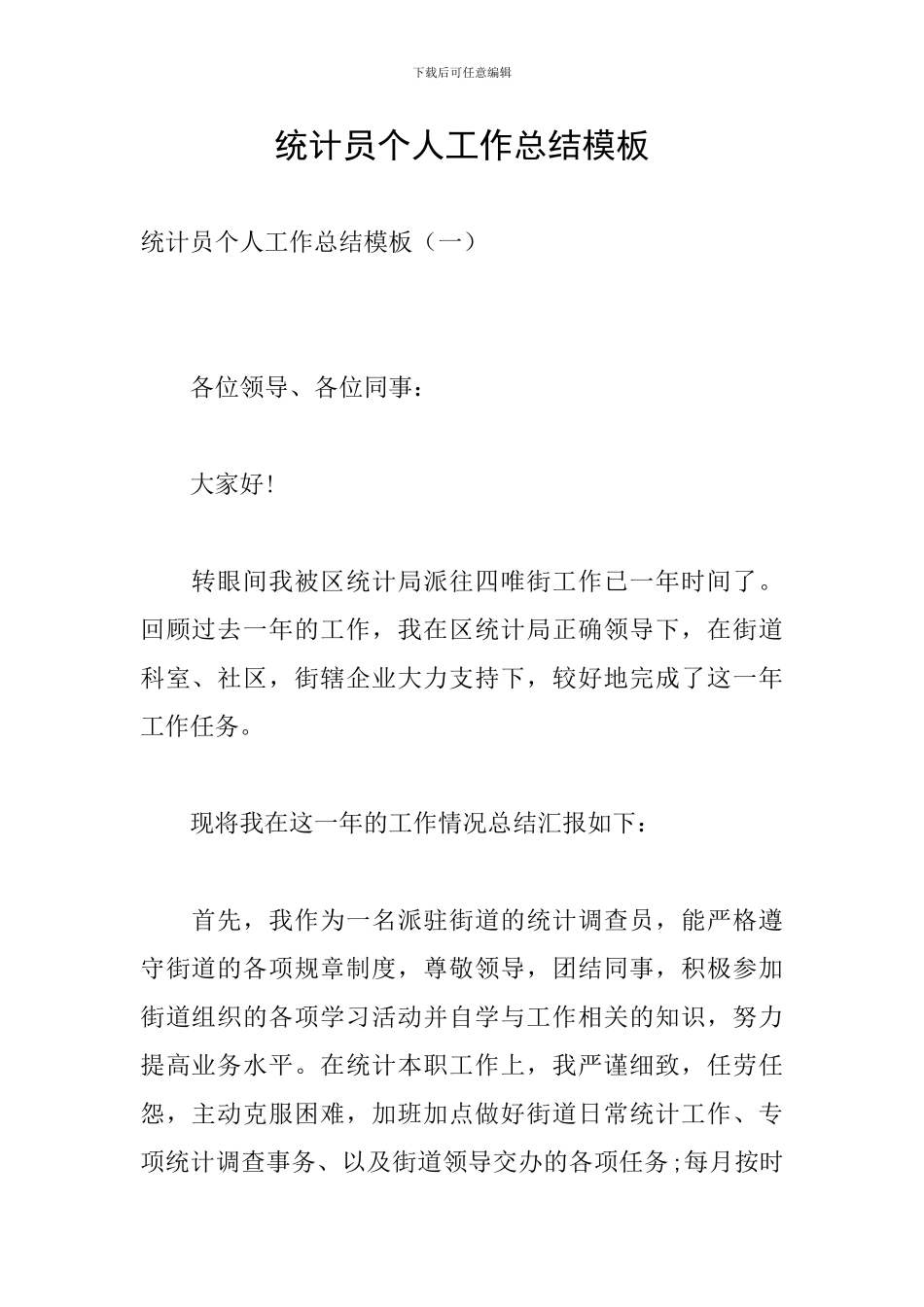 统计员个人工作总结模板_第1页