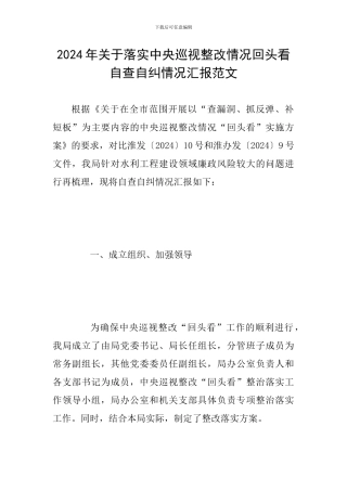 2024年关于落实中央巡视整改情况回头看自查自纠情况汇报范文