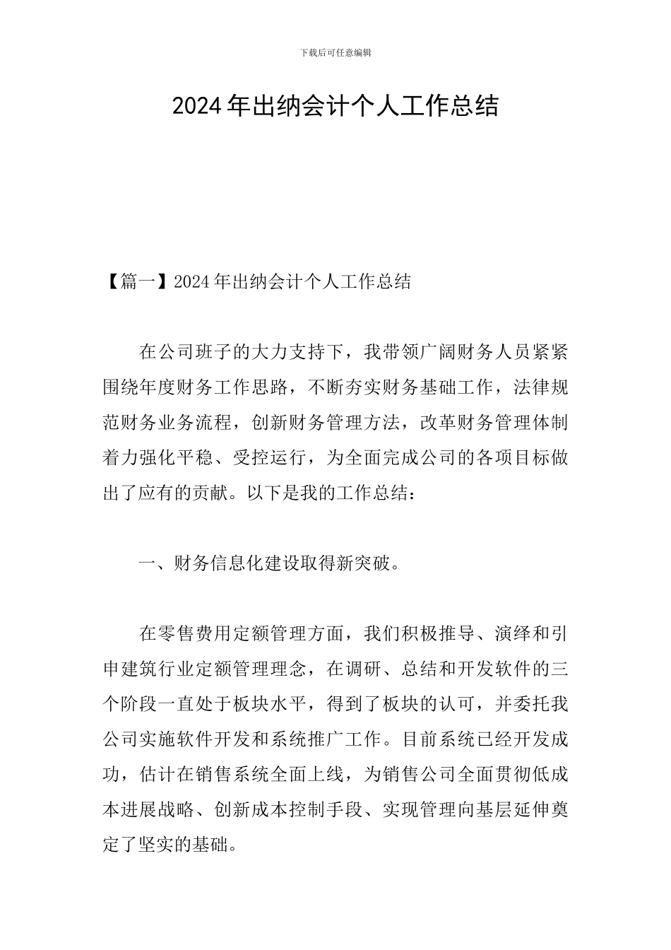 2024年出纳会计个人工作总结_第1页