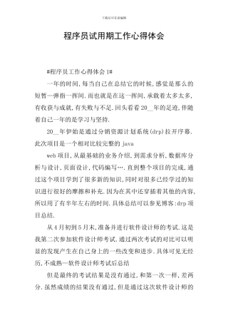程序员试用期工作心得体会