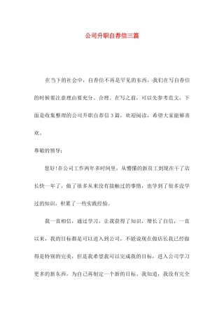 公司升职自荐信三篇（一）