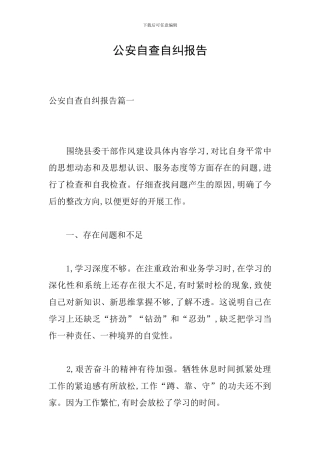 公安自查自纠报告